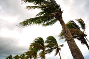 Roofing company in Ocala FL