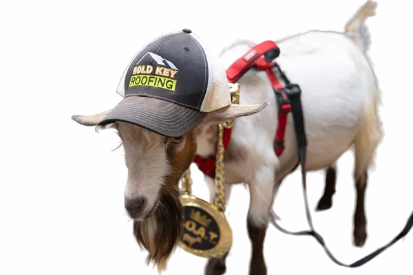 Gold Key’s goat mascot in a Gold Key cap