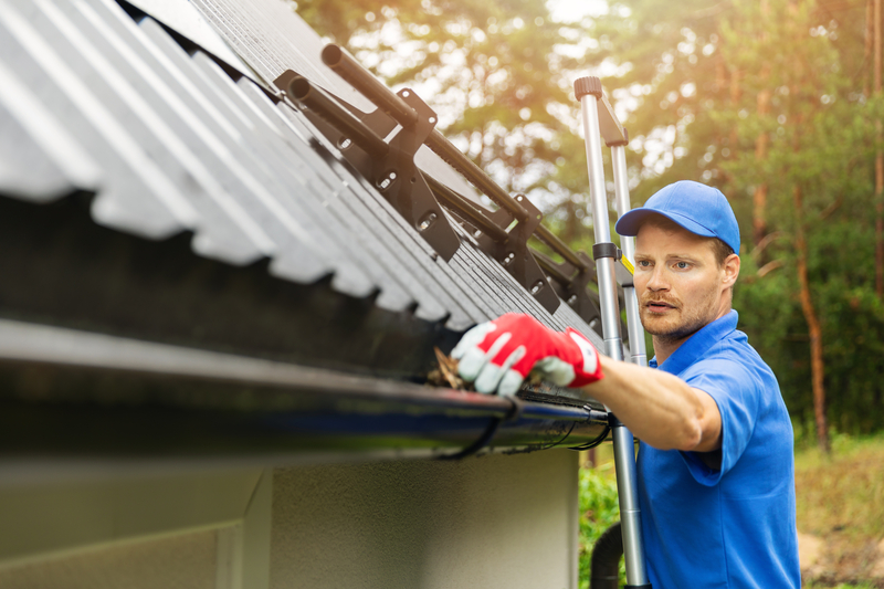 Professional Gutter Cleaning: Worth the Investment