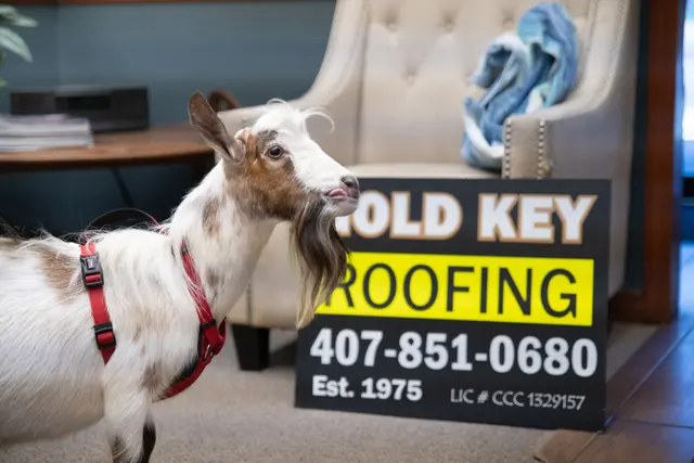 Roofus next to a Gold Key Roofing yard sign